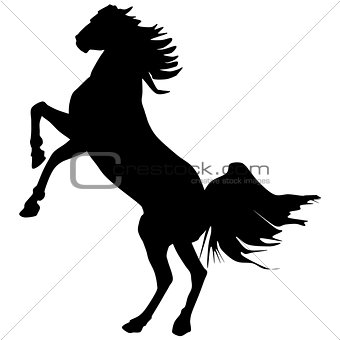 black horse silhouette 11
