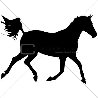 black horse silhouette 7