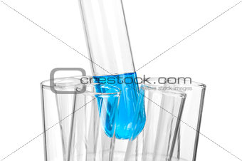 Set of laboratory equipment with chemical solutions and young sunflower isolated on white background with clipping path.