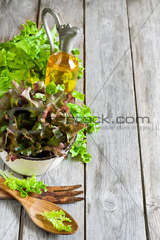 Green salad background
