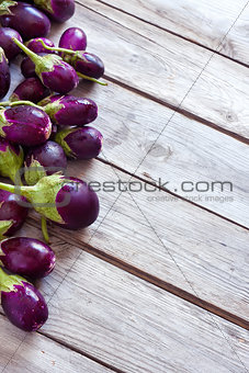 Mini aubergines background