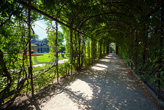Walkway under a green natural tunnel