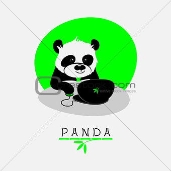 Vector illustration with cartoon panda sitting at his notebook