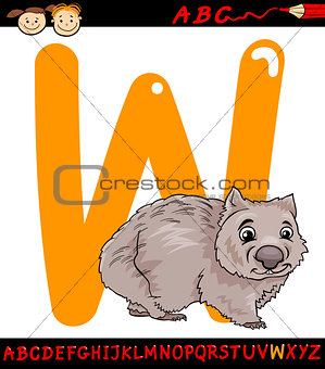 letter w for wombat cartoon illustration