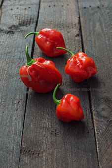 Red Chili pepper Habanero