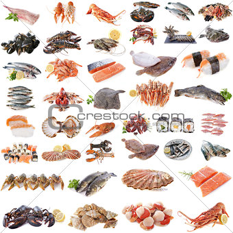 seafood, fish and shellfish
