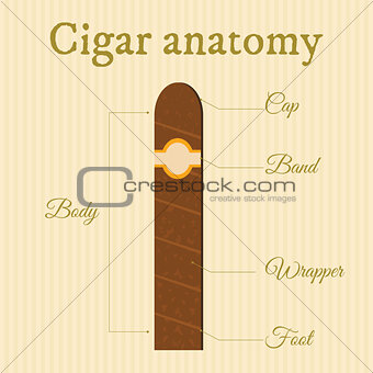 cigar structure1
