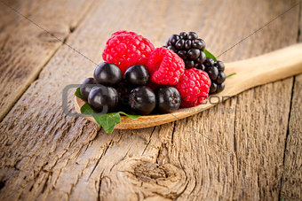 forest berries in wooden spoon on wooden table