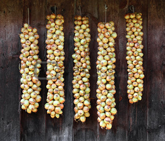 bundles of onions drying on the wood wall