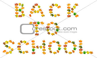 B A C K  T O  S C H O O L text composed of autumn maple leafs