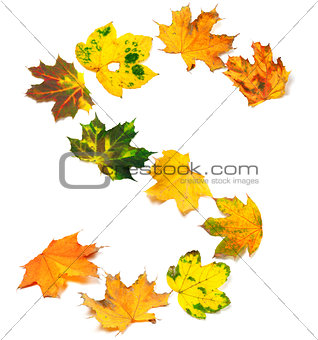 Letter S composed of autumn maple leafs