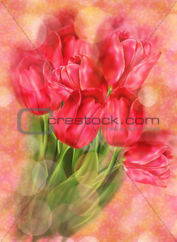 Tulips on Bokeh Background