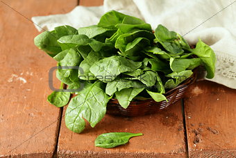 fresh green spinach organic healthy and wholesome food