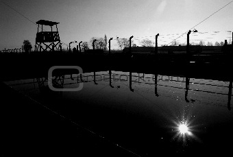Birkenau - the fence