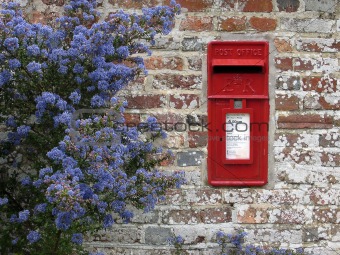 postbox and plants on wall