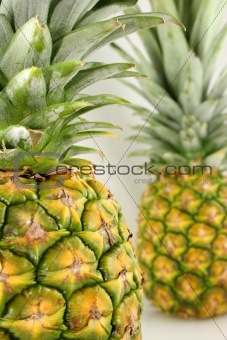 Pineapple Near and Far