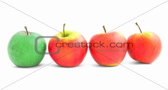 apple diversity