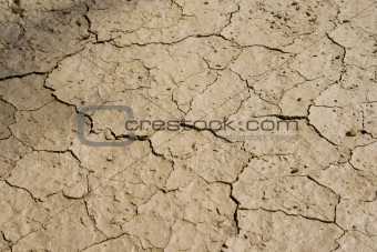 Cracked Mud Background