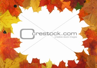 autumn maple frame