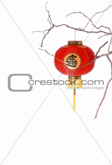 Pretty New Year Red Chinese Lanterns