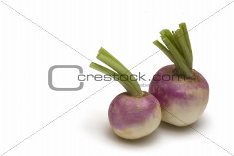 violet big radish on white background