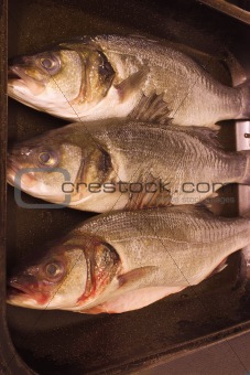 three sea bass
