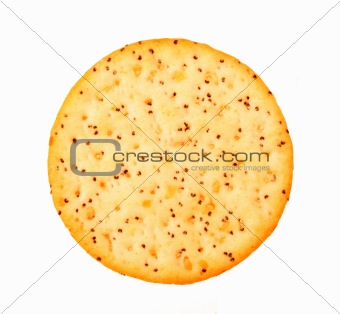 Cracker with Seeds
