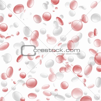 Red and White Interspersed Blood Cells