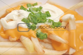 French Fries with Melted Cheese Sauce