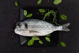 Sea bream on black plate.