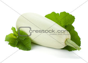 Fresh zucchini fruit with green leaves