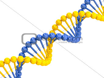 yellow blue DNA molecule