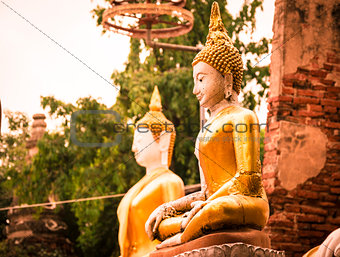 Seated buddha in Wat Phu Khao Thong. Ayutthaya,Thailand.