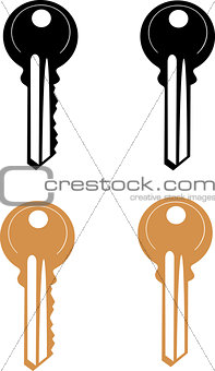 Vector Door Key