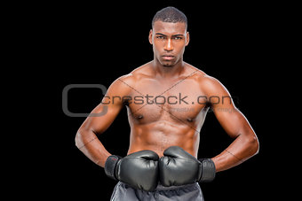 Portrait of a shirtless muscular boxer