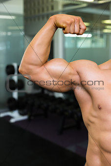 Close-up of muscular man flexing muscles
