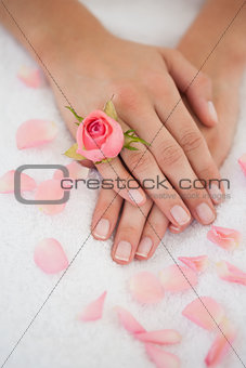 Womans hands with pink rose petals