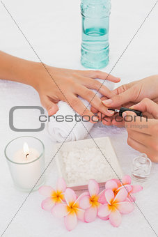 Beautician applying nail varnish to female client's nails