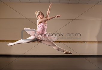 Beautiful ballerina dancing in pink tutu