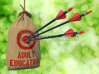 Adult Education - Arrows Hit in Red Target.