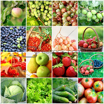 Fruits, vegetables, berries