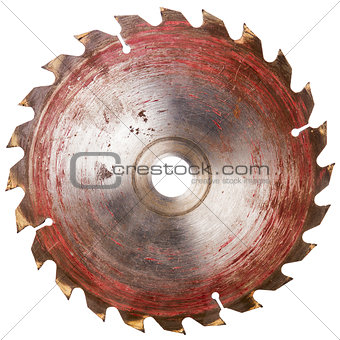 Old circular saw blade 