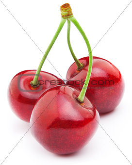 Three Sweet ripe cherry isolated on a white background