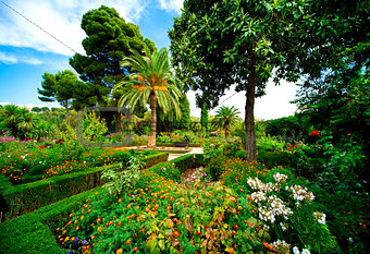 Alhambra garden. Granada, Spain