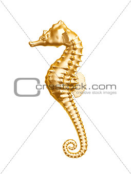 golden seahorse