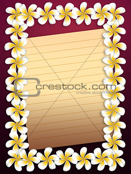 White plumeria flowers frame with paper