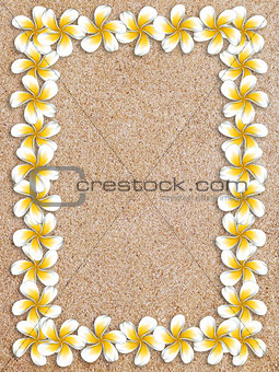 White plumeria frame on sand