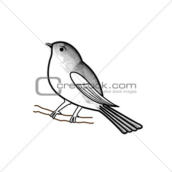 Hand drawn bird on a twig