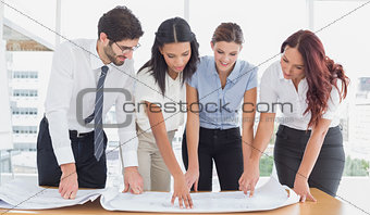 Business team reading work plans