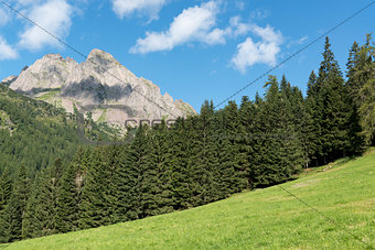 Mountains, forest and meadow in the Dolomites